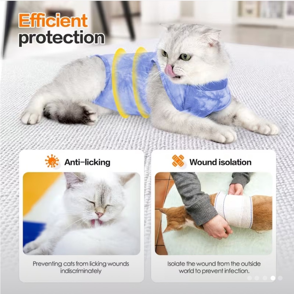Cat Small surgery suit (purple) - Picture 5 of 6
